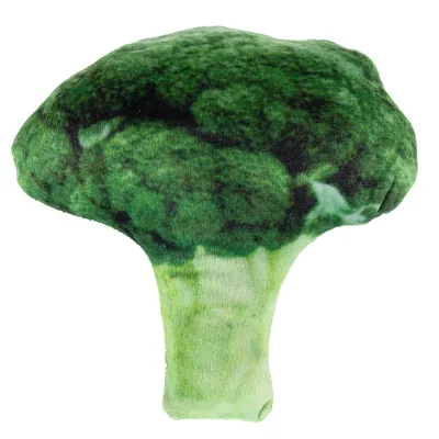 Speelgoed in de vorm van broccoli van groene stof, geschikt voor huisdieren.
