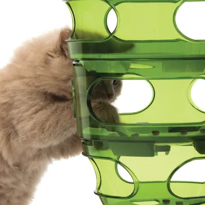 Katzenspielzeug aus grünem Kunststoff mit mehreren Ebenen und Öffnungen, durch die eine Katze greift, um Futter oder Spielzeug herauszuholen.