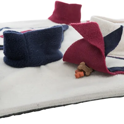 Spielmatte mit Stofffalten in Rot und Blau, darunter versteckte Hundeleckerlis wie Knochen und Würfel.