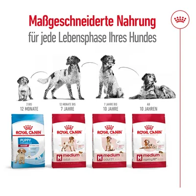 Tableau des croquettes Royal Canin Medium : Puppy 2–12 mois, Adult 12 mois–7 ans, Adult 7+ 7–10 ans, Ageing 10+ dès 10 ans. Texte en allemand sur l’alimentation adaptée à chaque âge.