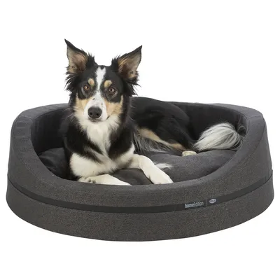Hund liegt in einem grauen Hundebett mit der Aufschrift 'home edition'.