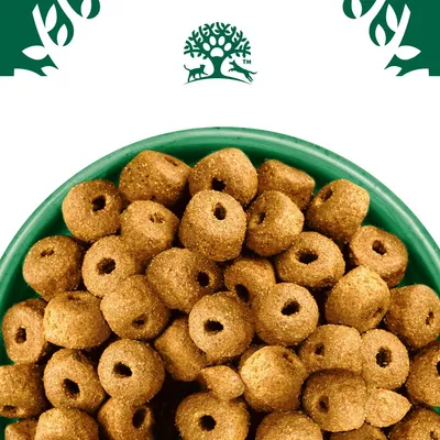 Close-up of round, hole-centred dry pet food pieces in a green bowl, shown under a tree and animal emblem.