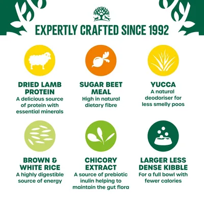 Key features: dried lamb protein, sugar beet meal, yucca, brown and white rice, chicory extract, larger less dense kibble. Each with benefits for nutrition, digestion, or odour control.