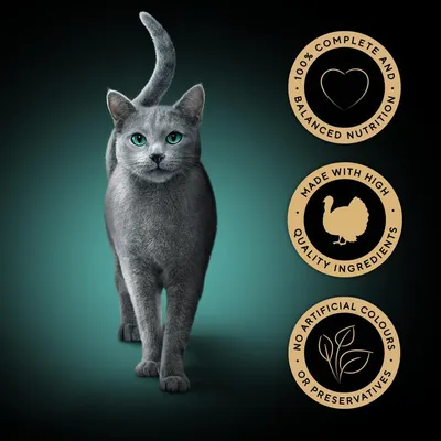 Three badges: 100% complete and balanced nutrition, made with high quality ingredients, no artificial colours or preservatives.