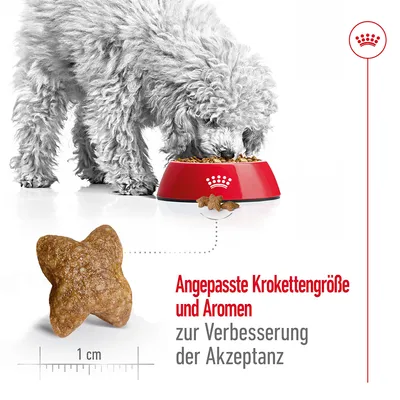 Aangepaste brokgrootte en smaken voor betere acceptatie. Brokmaat: 1 cm. Hond eet uit rode voerbak met logo.
