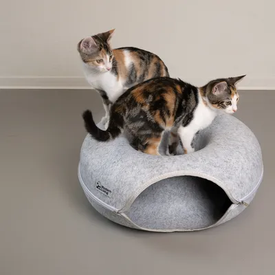 Duas gatos numa cama de feltro cinzenta para gatos com caverna. Logótipo visível: Modern Living.