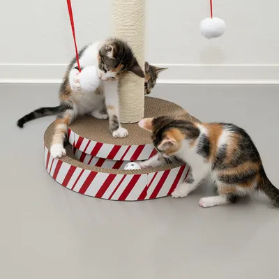 Arbre à chat avec griffoir en carton, poteau recouvert de corde et jouets suspendus, deux chatons jouent autour de la structure à rayures rouges et blanches.