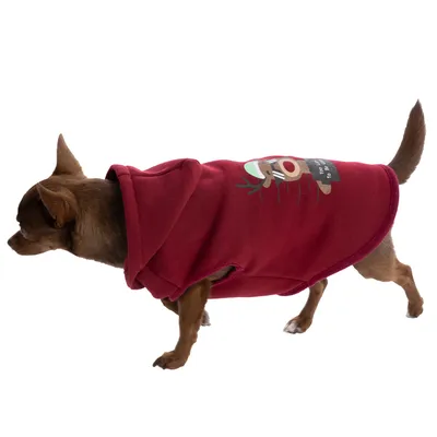 Kleiner Hund trägt roten Kapuzenpullover mit Rentiermotiv und Textaufdruck.