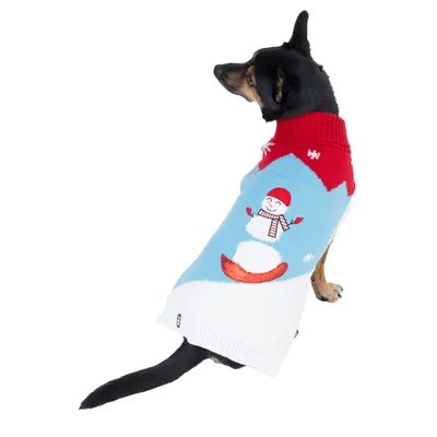 Hund trägt einen Pullover mit Schneemann-Motiv, rotem Kragen und blau-weissem Design.