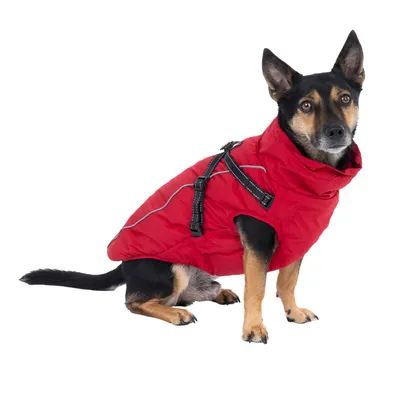 Cappotto rosso per cani con strisce rifrangenti e cintura regolabile, adatto a condizioni climatiche fredde.