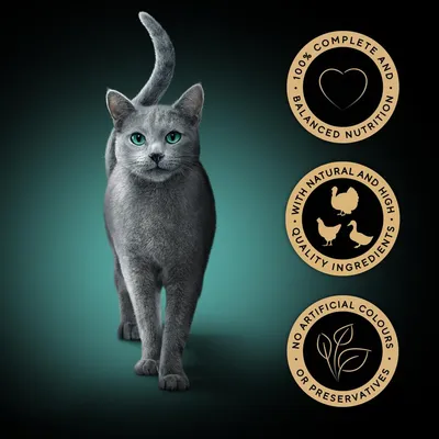 Three product badges: 100% complete and balanced nutrition, with natural and high quality ingredients, no artificial colours or preservatives.