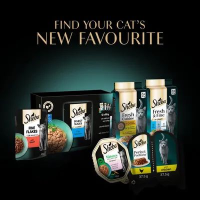 Selection of Sheba wet food pouches and trays in various flavours, including beef, chicken, fish, and salmon. Text reads: Find your cat’s new favourite.