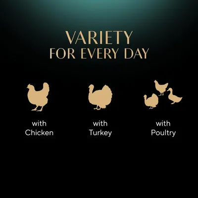 Variety for every day: with chicken, with turkey, with poultry. Three icons show the different meat options available.