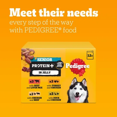 Pedigree Senior Protein+ in Jelly, 12 pack: 3 with beef and liver mix, 3 with chicken and beef, 3 with turkey and chicken, 3 with duck and chicken, plus 25% more proteins.