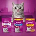 Whiskas Temptations 60g