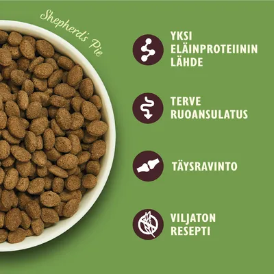 Shepherd's Pie -kuivaruoka. Tekstit: yksi eläinproteiinin lähde, terve ruoansulatus, täysravinto, viljaton resepti.