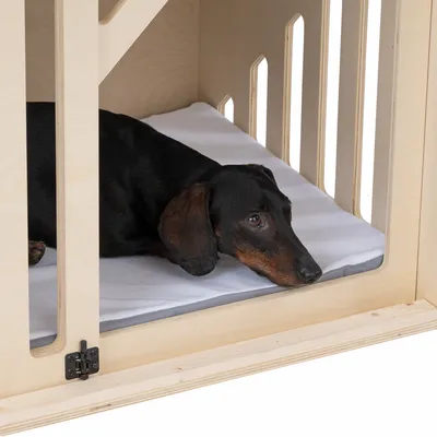 Hund liegt auf weissem Kissen in einer Holzkiste mit Gitterdesign. Produkt zeigt Nutzung eines Hundebetts oder Rückzugsortes.