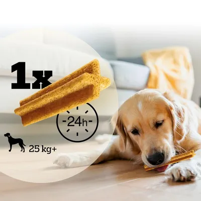 Feeding guide showing one chew per 24 hours for dogs over 25 kg, with a dog chewing the product.