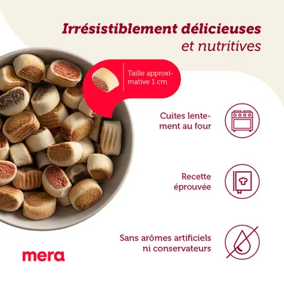 mera – Taille approximative 1 cm, cuites lentement au four, recette éprouvée, sans arômes artificiels ni conservateurs. Bol de biscuits visibles.