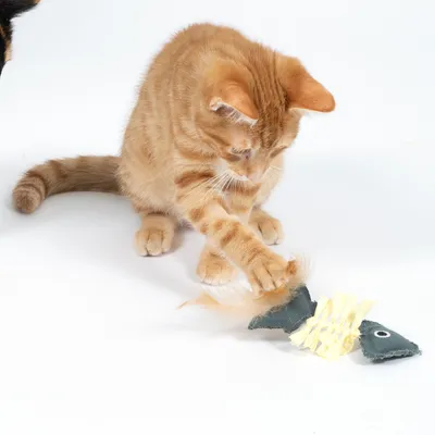 Chat roux jouant avec un jouet en forme de poisson composé de tissu, plumes et bandes jaunes. Partie d’un autre chat visible à gauche.