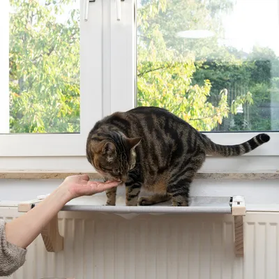 Modern Living Visby hängmatta för katter