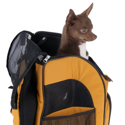 Petit chien marron assis dans un sac de transport jaune avec panneaux en maille noire et fermeture éclair visible.