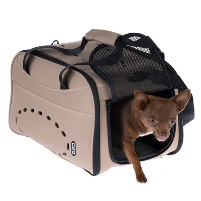 Sac de transport beige en tissu avec aérations et filet noir, marque Trixie, petit chien marron à l’intérieur sortant la tête et une patte par l’ouverture zippée.