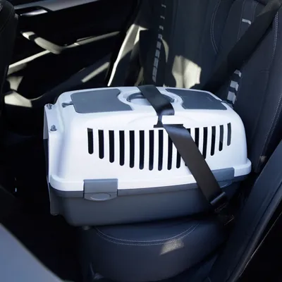 Transportbox met veiligheidsgordel bevestigd op autostoel, geschikt voor veilig vervoer van huisdieren.