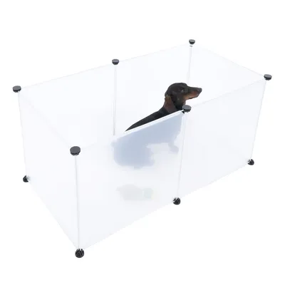 Transparenter Laufstall aus Kunststoff mit schwarzem Dackel darin. Rechteckige Form, verbunden durch schwarze Steckverbindungen.
