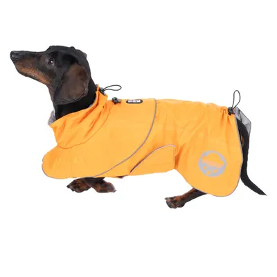 Teckel portant un manteau imperméable orange avec capuche, bandes réfléchissantes et motif nuage de pluie sur le côté. Fermeture par cordons visibles à l’arrière.