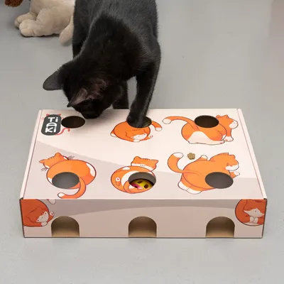 Tiaki Spielbox aus Karton mit Löchern und orangefarbenen Katzenmotiven. Schwarze Katze interagiert mit der Box, darunter sichtbares Spielzeug.