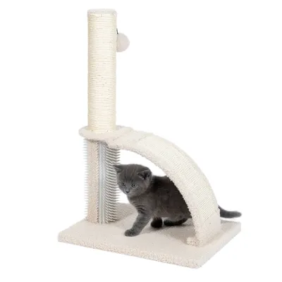Arbre à chat beige avec poteau en sisal, arche recouverte de tissu et brosse verticale, chaton gris dessous. Aucun nom de marque visible.