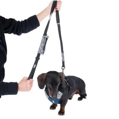 Hund mit Tragehilfe und gepolstertem Gurt, der von einer Person angehoben wird. Schwarzer Gurt mit Muster und verstellbarer Länge sichtbar.