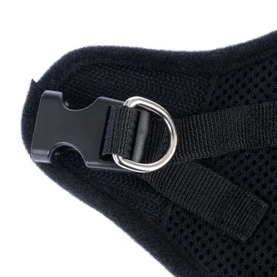 Nahaufnahme eines schwarzen Gurtsystems mit Klickverschluss und Metall-D-Ring, befestigt an einem atmungsaktiven Netzmaterial.