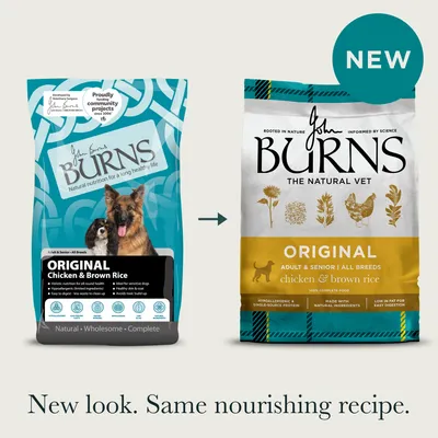 Burns Adult & Senior Original Pui și orez brun - 6 kg