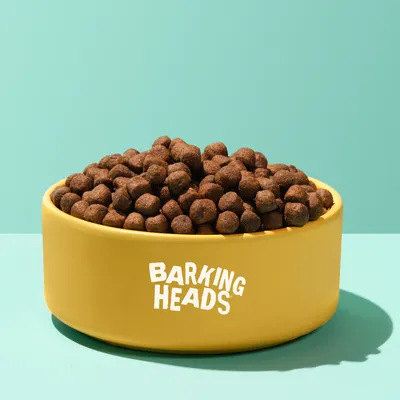 Bowl filled with round brown kibble pieces, showing product appearance and portion size.