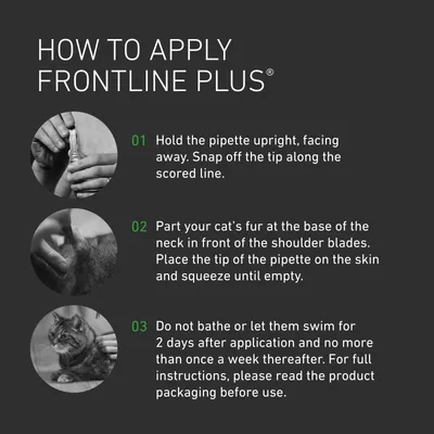 Instructions for applying Frontline Plus: Hold pipette upright and snap tip. Part cat’s fur at neck, apply to skin, squeeze empty. Do not bathe or let swim for 2 days after use.