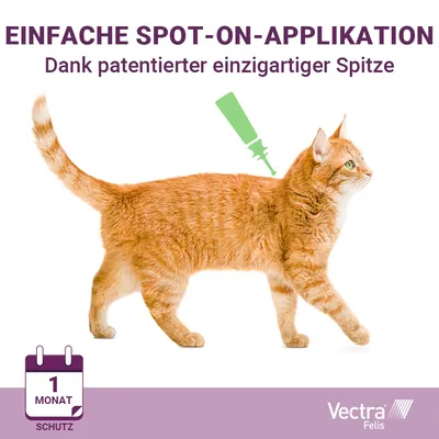 Einfache Spot-On-Applikation für Katzen dank patentierter Spitze. Schutz für 1 Monat. Marke: Vectra Felis.