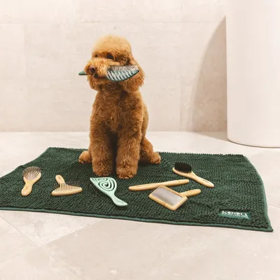 Hund sitter på en grön matta med olika pälsvårdsborstar av trä och plast. Borste hålls i munnen.