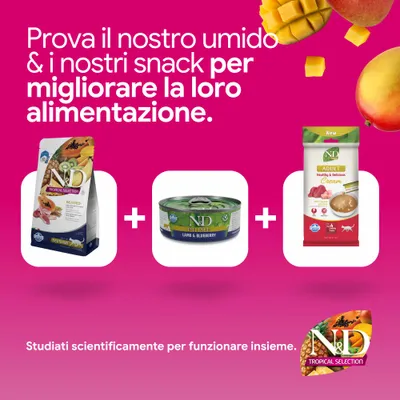 N&D Tropical Selection crocchette, N&D Prime Lamb & Blueberry alimento umido e N&D adult cream snack. Sviluppato scientificamente per un'alimentazione ottimale. N&D Tropical Selection crocchette, N&D Prime Lamb & Blueberry alimento umido e N&D adult cream snack. Sviluppato scientificamente per un'alimentazione ottimale.