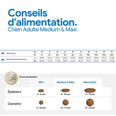 Recommandation d’alimentation pour Chien Adulte Medium et Maxi : tableau avec le poids, la quantité journalière recommandée en grammes et en tasses. Comparaison des tailles des croquettes selon l’épaisseur et le diamètre. Recommandation d’alimentation pour Chien Adulte Medium et Maxi : tableau avec le poids, la quantité journalière recommandée en grammes et en tasses. Comparaison des tailles des croquettes selon l’épaisseur et le diamètre.