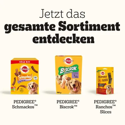 Fedezze fel a teljes kínálatot: PEDIGREE® Schmackos™ Mega Box 790g, PEDIGREE® Biscrok™ Original 500g, PEDIGREE® Ranchos™ Slices. Kutyasnackek látható csomagolással.