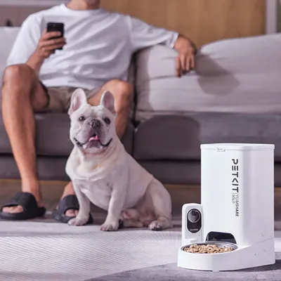 Automatischer Futterspender PETKIT mit Kamera, gefüllt mit Trockenfutter. Hund sitzt daneben, Person im Hintergrund mit Smartphone auf Sofa.