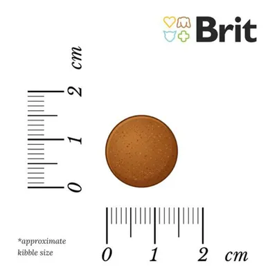 Brit Care Grain-Free Adult Large Breed com salmão e batatas