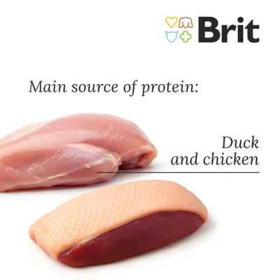 Brit Care sopa para gatos 15 x 75 g