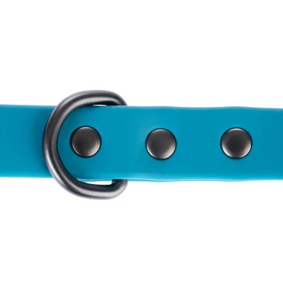 Collare per cani turchese con borchie in metallo nere e anello a D in metallo.