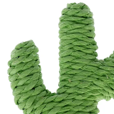 Green toy made of braided rope in cactus shape, suitable for pets.