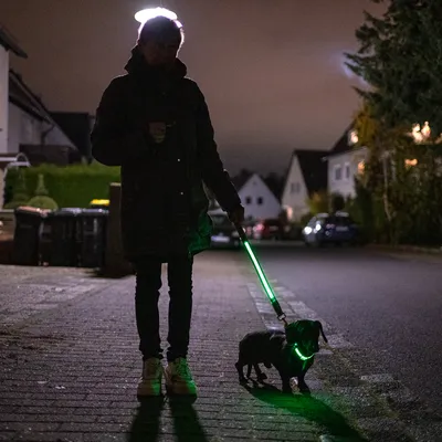 Persoon loopt 's nachts met een kleine hond, hond draagt een lichtgevende groene halsband en de lijn is ook verlicht.