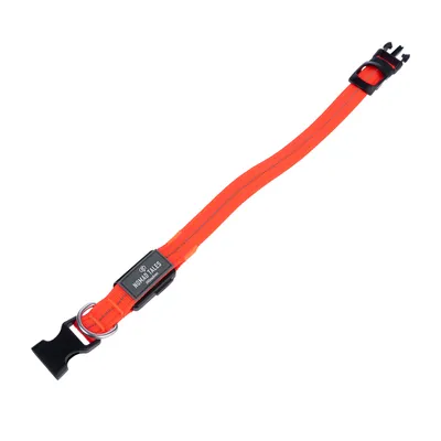 Collier en nylon orange avec boucle noire, anneau métallique et inscription visible : 'NOMI-TALIES'.
