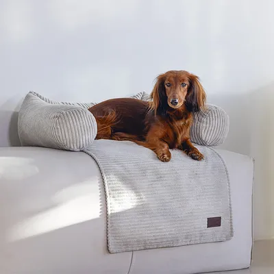 Dog lying on a grey, ribbed sofa cover with padded side bolsters. Product provides comfort and protection for furniture.